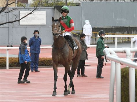 【赤穂特別レース後コメント】キングズソード川田将雅騎手ら 競馬ニュース Netkeiba