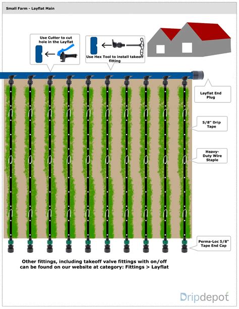 Orchard Drip Irrigation Layout