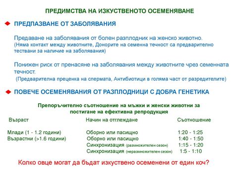 Тракийски университет - ppt download