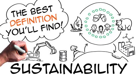 Sustainability Definition With Simple Natural Science Sustainability