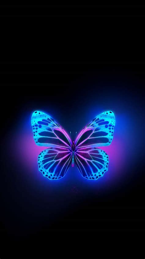 Top Wallpaper Butterfly Images Hd Amazing Collection Wallpaper