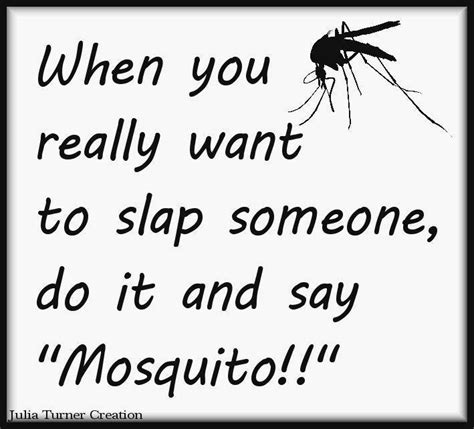 Mosquito Funny Quotes Quotes Words