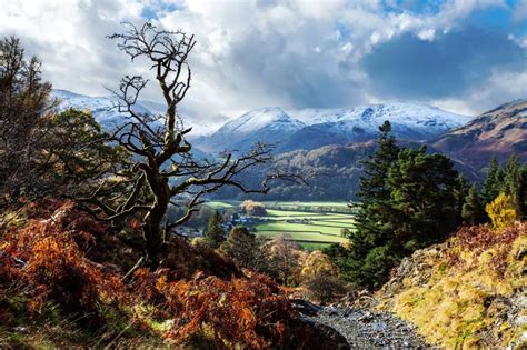 Borrowdale, Lake District