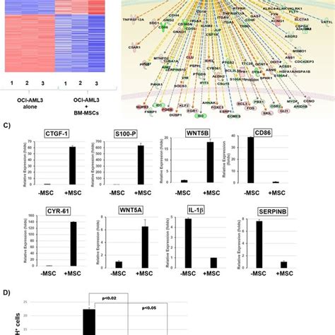 Activation Of Tgf Gene Signature In Oci Aml Cells Co Cultured With