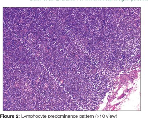 Figure 1 From Evaluation Of Immunomorphological Patterns Of Cervical