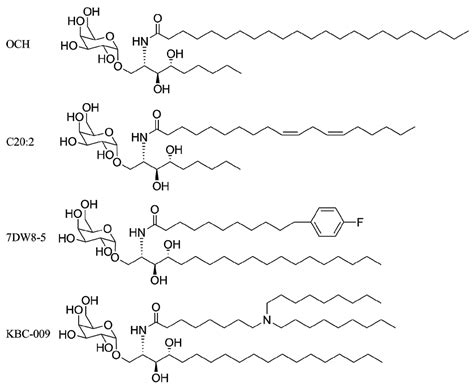 Molecules Free Full Text Stimulation Of Natural Killer T Cells By