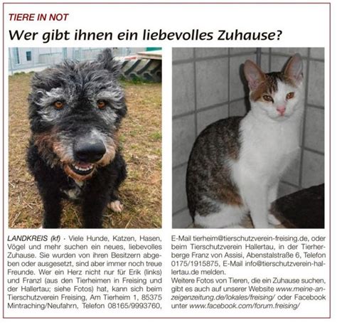 Liebevolles Zuhasue Tierschutzverein Freising E V