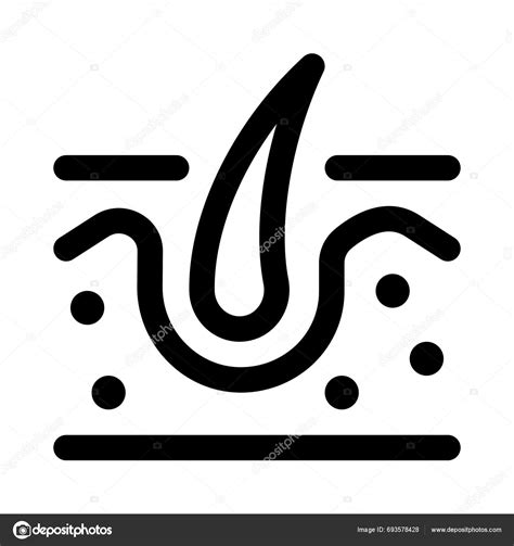 dermis  lapisan kulit  terletak bawah epidermis  atas