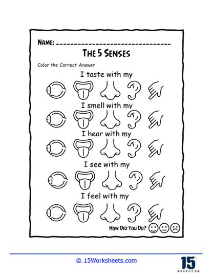 Five Senses Worksheets Worksheets Worksheets Library