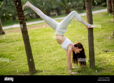 Handstand Yogi Woman Practicing Yoga Downward Facing Tree Pose Working