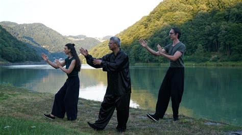 Tai Chi Qi Gong Einführungskurs Wing Chun Qi Gong Tai Chi Kung Fu