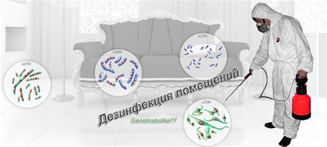 САНОБРАБОТКА:УСЛУГИ