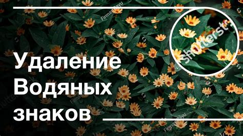 КАК УДАЛИТЬ ВОДЯНЫЕ ЗНАКИ С ФОТОГРАФИИ - YouTube