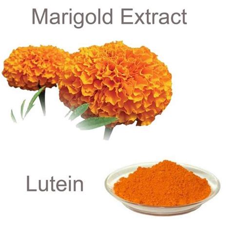 100 200g Lutein Marigold Powder Extract Serbuk Ekstrak Lutein Kosherandhalal Certified