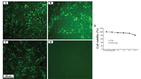 molecular medicine reports