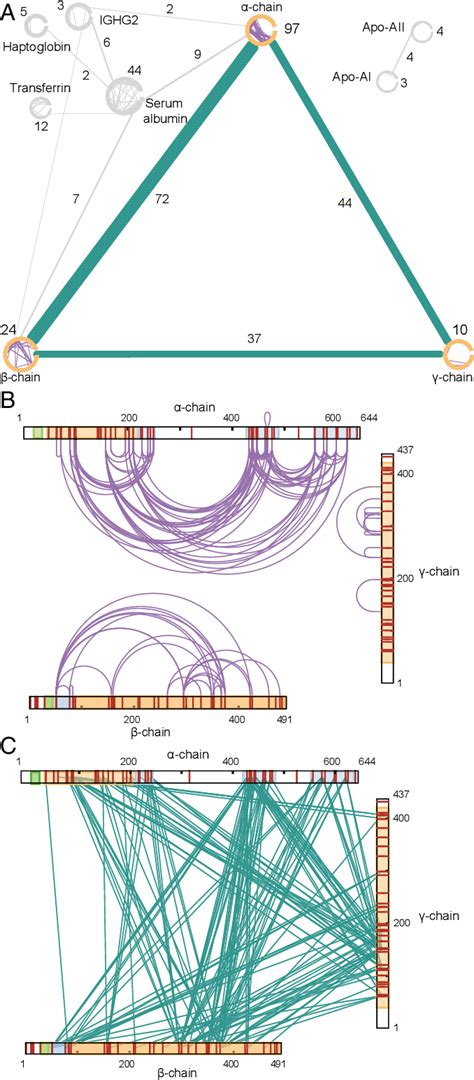 Figure 2 From Missing Regions Within The Molecular Architecture Of