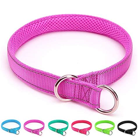 The Best Dominant Dog Collars - Dogtime