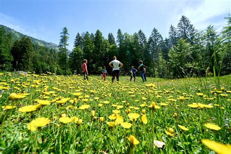 Dolomiti Natural Wellness Hotel Campiglio Bellavista