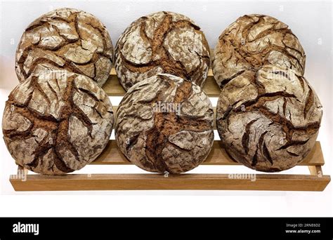 Round Loaves Of Dark Rye Bread On Shelf In Bakery Big Round Bread