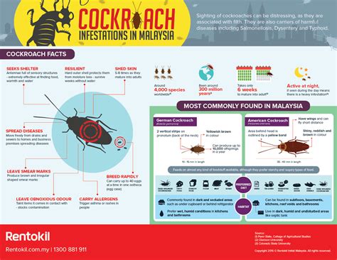 Vector Borne Disease In Malaysia Colin Henderson