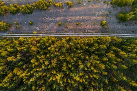 Aerial View Of Road Through Forest Vormsi Island Estonia Stock