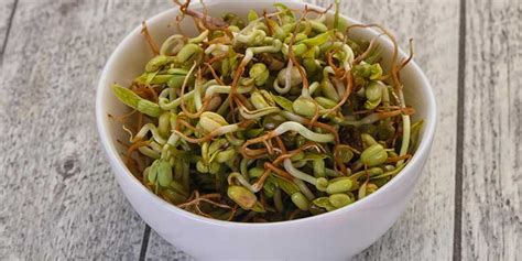 Sprouts Protein Per 100g Prorganiq