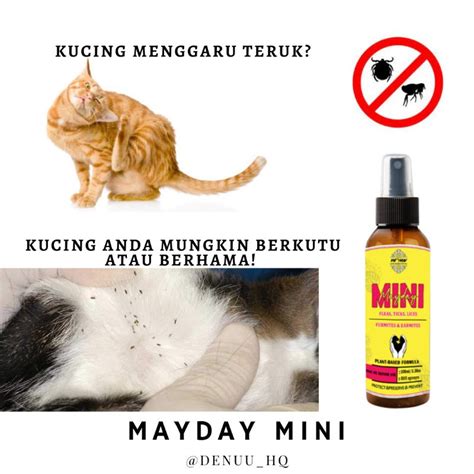 Kutu Kucing Anjing Hama Anti Fleas Ticks Earmites Furmites Mayday