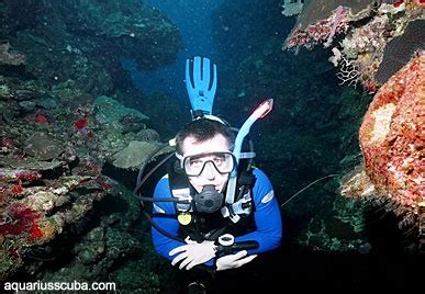 Diving in Honduras, Roatan | Roatan, Diving, Scuba