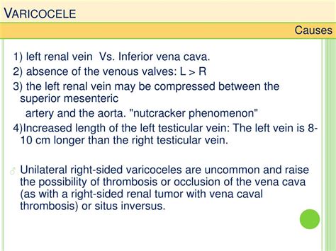 Ppt The Varicoceles Impact Over The Masculine Fertility Powerpoint