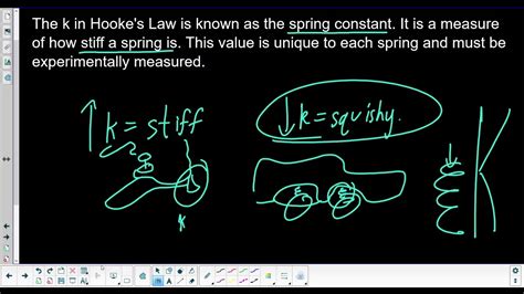 Hookes Law Youtube