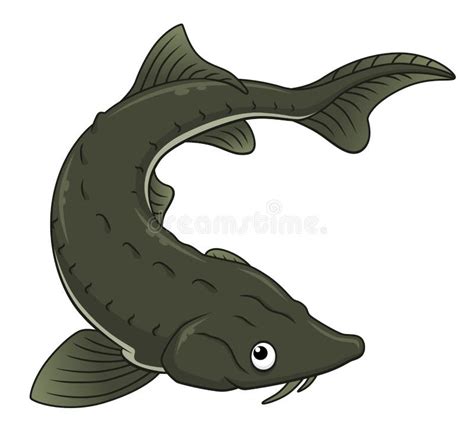 Cartoon Sturgeon Stock Illustrations 597 Cartoon Sturgeon Stock