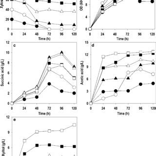 Heatmap Of Metabolic Flux Distributions Of S Cerevisiae Strains The