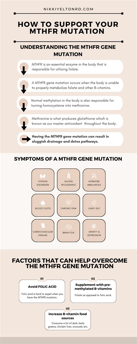 How To Support Your Mthfr Gene Mutation Nikki Yelton Rd