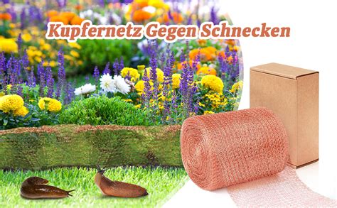 Kodexa Schneckenzaun Schneckenschutz F R Hochbeet Pflanzen Cmx M