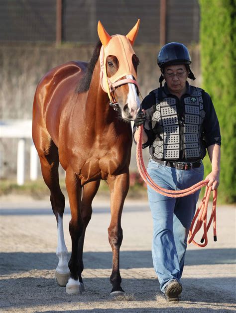 【注目馬動向】ナミュールは今秋、連覇がかかるマイルcsが目標 Umatoku 馬トク