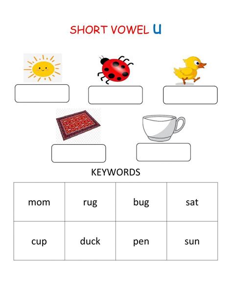 Differentiate Between Long And Short U Ela Worksheets Splashlearn