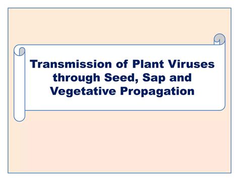 Plant Viruses Transmission Through Seed Sap And Vegetative Propagation