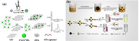 Schematic diagram of ochratoxin A (OTA) detection based on (a) graphene ...