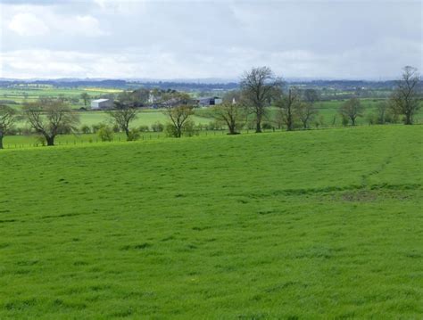 Lush Pasture After Heavy Rain © Russel Wills Geograph Britain And