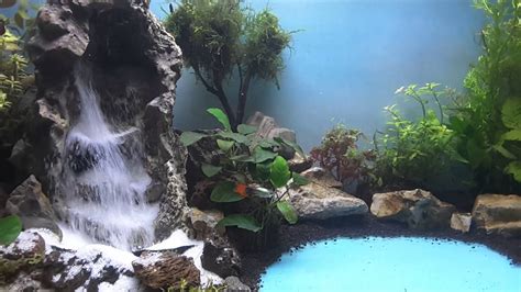 Aquascape Waterfall Tanjungpinang Part 2 Youtube