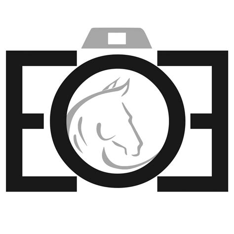 Essence Of Equine Photography