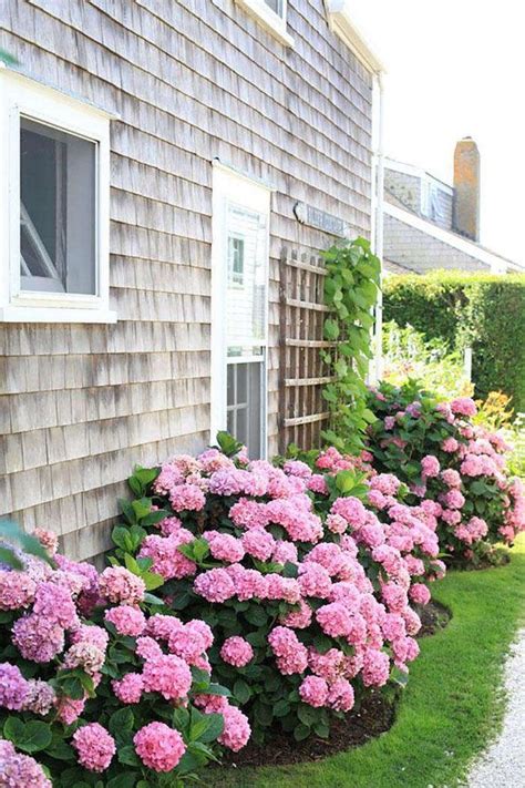 17 Dreamy Hydrangea Gardens That Are Giving Us Major Inspiration