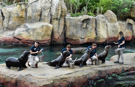 Houston Zoo Opens First Of Its Kind Galápagos Islands Exhibit