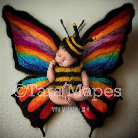 Needle Felted Butterfly Newborn Digital Backdrop Needle Felt