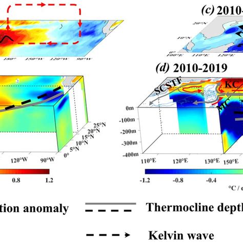 Schematic Representation Of Sea Level And Subsurface Temperature Trend