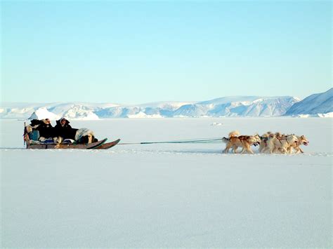 Three Airmen Participate In Dog Sled Expedition Air Force Article