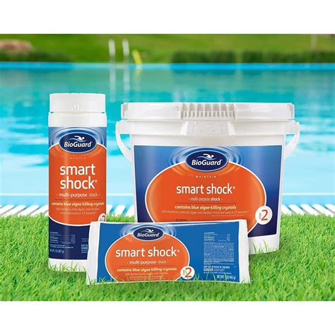 24 Pack BioGuard Smart Shock 1lb With Swimming Pool Care