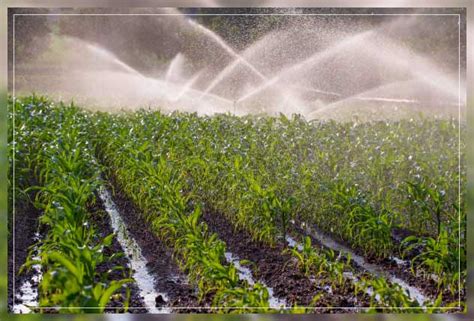 Irrigation System Types Methods And Importance Al Ardh Alkhadra