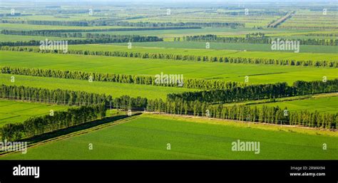 Fotos Und Bildmaterial In Hoher Aufl Sung Alamy