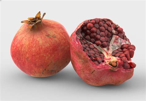 Pomegranate 3d Model Turbosquid 2007667